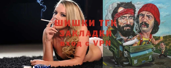 индика Нягань