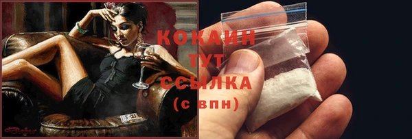 шишки Киреевск