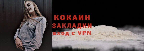 шишки Киреевск