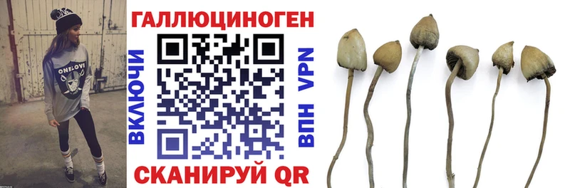 blacksprut зеркало  маркетплейс состав  Галлюциногенные грибы мицелий  Миасс 