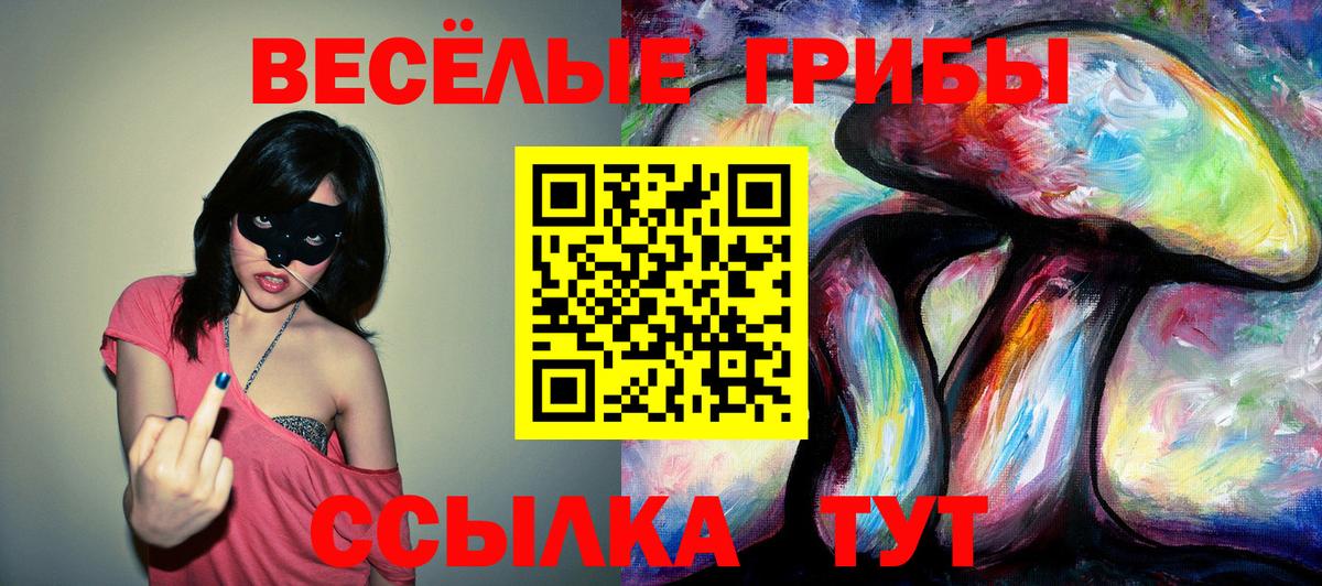 Псилоцибиновые грибы Psilocybine cubensis Миасс