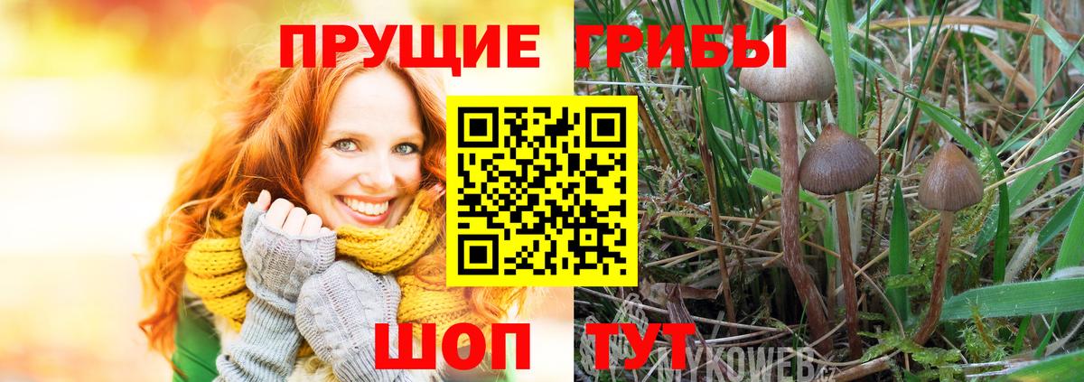 магазин продажи   Галлюциногенные грибы мухоморы  Миасс  Галлюциногенные грибы Magic Shrooms 