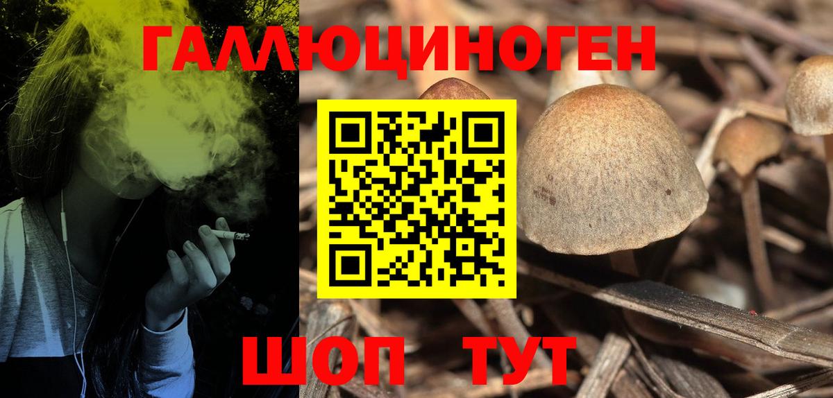 Миасс  Псилоцибиновые грибы Cubensis  Вход с VPN 